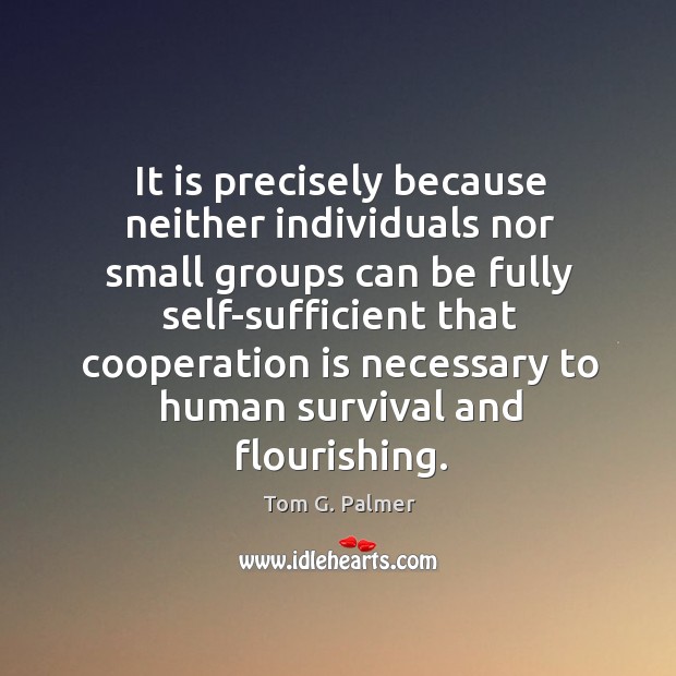 It is precisely because neither individuals nor small groups Tom G. Palmer Picture Quote