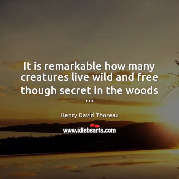 It is remarkable how many creatures live wild and free though secret in the woods … Henry David Thoreau Picture Quote