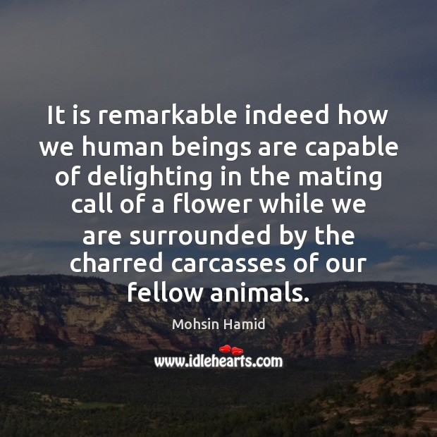 It is remarkable indeed how we human beings are capable of delighting Image