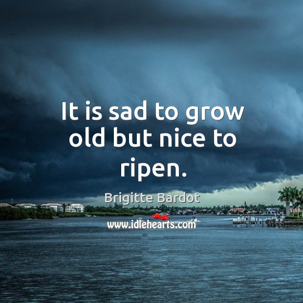 It is sad to grow old but nice to ripen. Brigitte Bardot Picture Quote