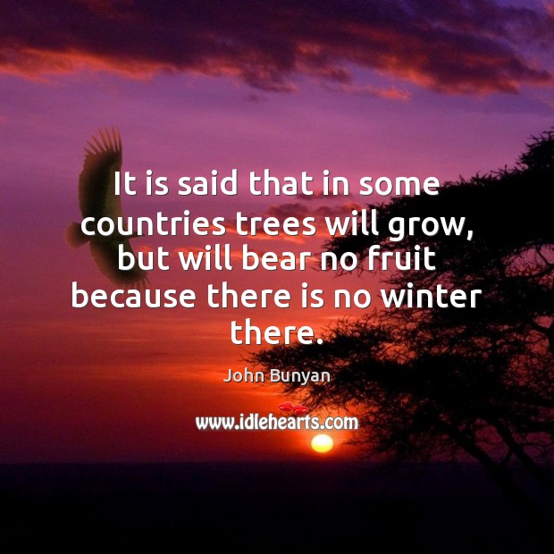It is said that in some countries trees will grow, but will Winter Quotes Image