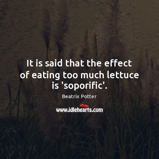 It is said that the effect of eating too much lettuce is ‘soporific’. Image