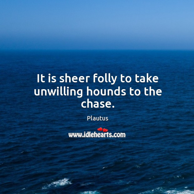 It is sheer folly to take unwilling hounds to the chase. Plautus Picture Quote