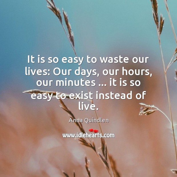 It is so easy to waste our lives: Our days, our hours, Anna Quindlen Picture Quote