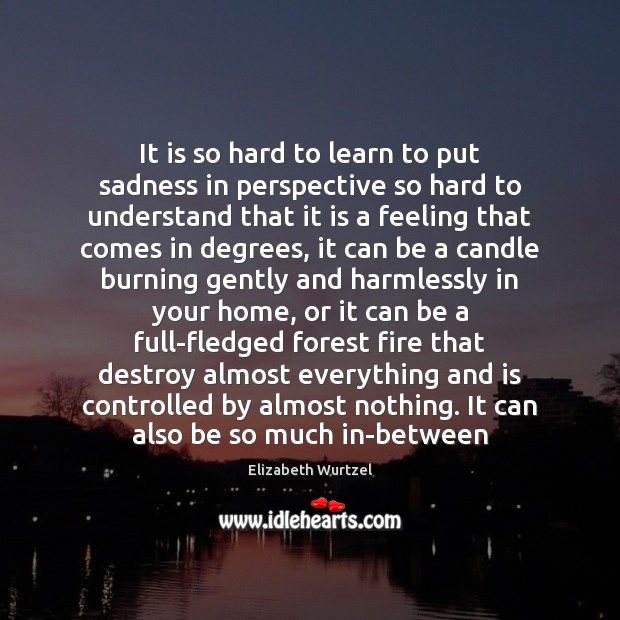 It is so hard to learn to put sadness in perspective so Elizabeth Wurtzel Picture Quote