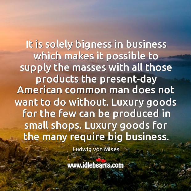 It is solely bigness in business which makes it possible to supply Ludwig von Mises Picture Quote