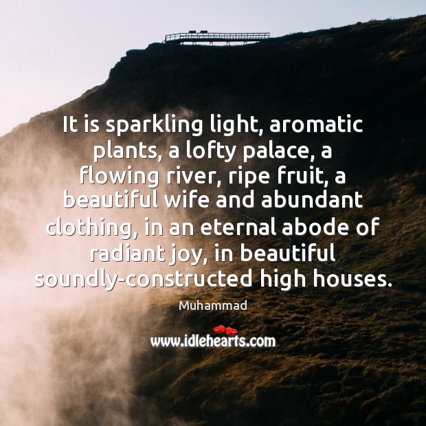 It is sparkling light, aromatic plants, a lofty palace, a flowing river, Muhammad Picture Quote