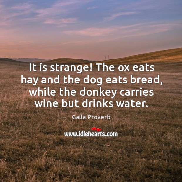 It is strange! the ox eats hay and the dog eats bread Image