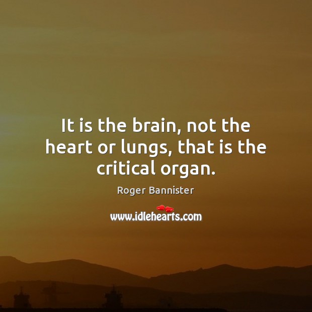It is the brain, not the heart or lungs, that is the critical organ. Roger Bannister Picture Quote