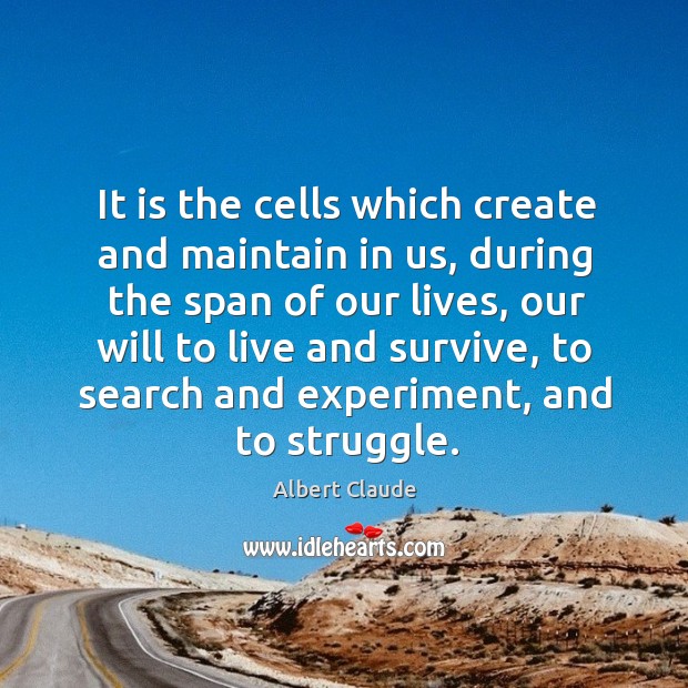 It is the cells which create and maintain in us, during the span of our lives Albert Claude Picture Quote