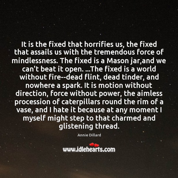 It is the fixed that horrifies us, the fixed that assails us Image