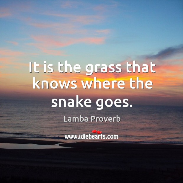 It is the grass that knows where the snake goes. Lamba Proverbs Image