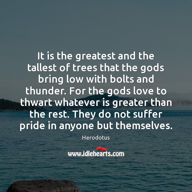 It is the greatest and the tallest of trees that the Gods Herodotus Picture Quote