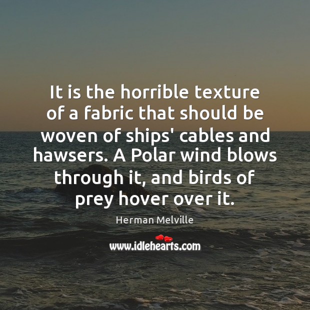 It is the horrible texture of a fabric that should be woven Herman Melville Picture Quote