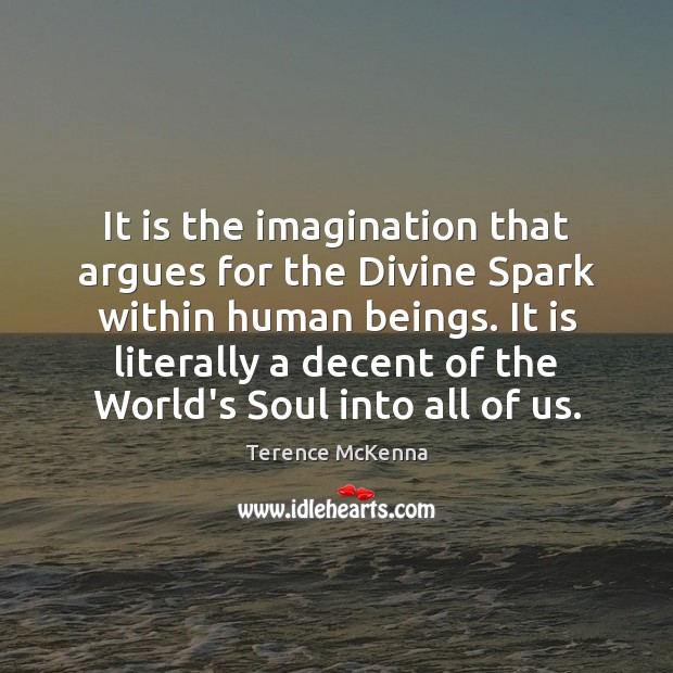 It is the imagination that argues for the Divine Spark within human Terence McKenna Picture Quote