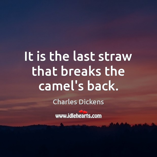 It is the last straw that breaks the camel’s back. Charles Dickens Picture Quote