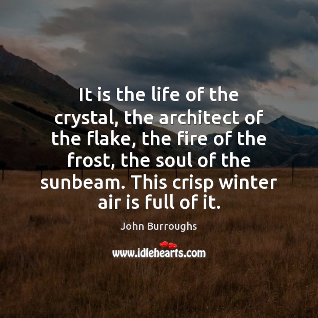 It is the life of the crystal, the architect of the flake, John Burroughs Picture Quote