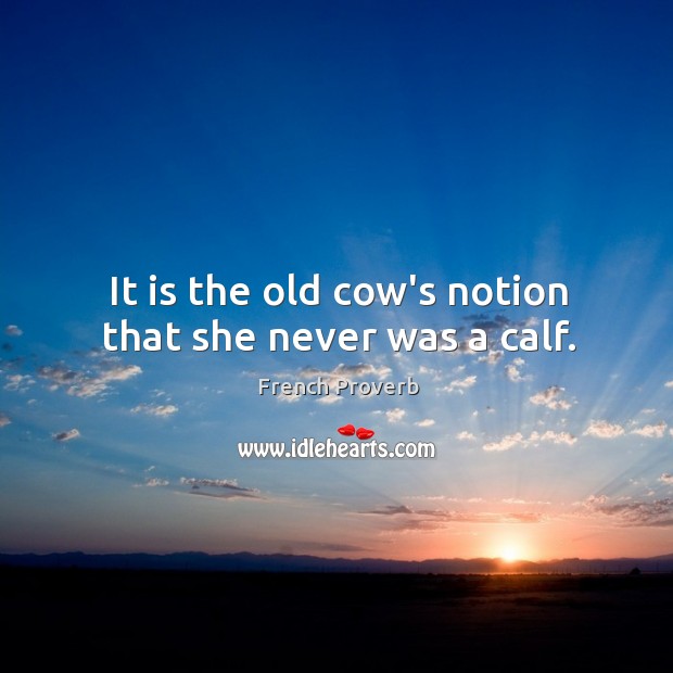 It is the old cow’s notion that she never was a calf. French Proverbs Image