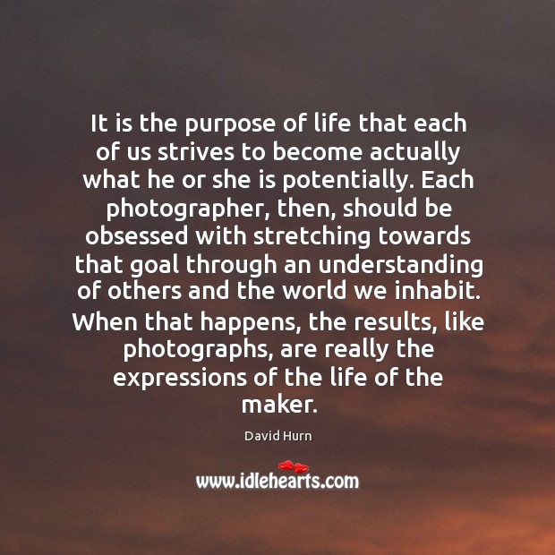It is the purpose of life that each of us strives to David Hurn Picture Quote