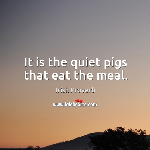 It is the quiet pigs that eat the meal. Irish Proverbs Image