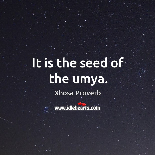 It is the seed of the umya. Xhosa Proverbs Image