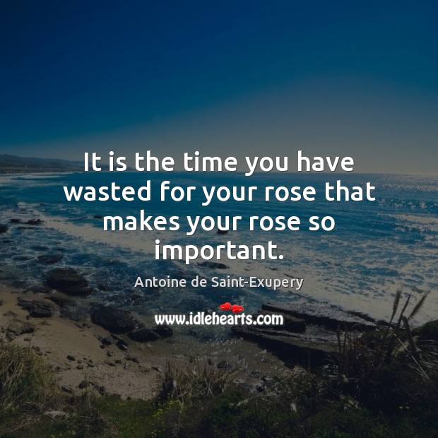It is the time you have wasted for your rose that makes your rose so important. Antoine de Saint-Exupery Picture Quote