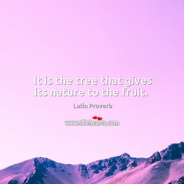 It is the tree that gives its nature to the fruit. Image