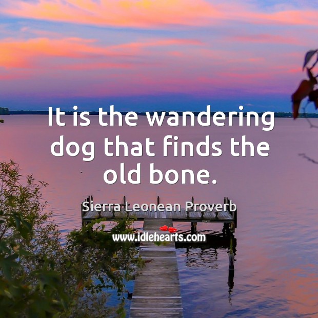 It is the wandering dog that finds the old bone. Image