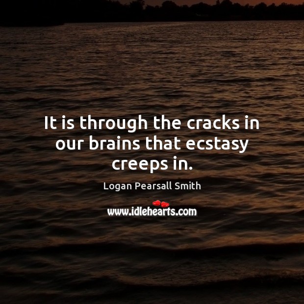 It is through the cracks in our brains that ecstasy creeps in. Logan Pearsall Smith Picture Quote