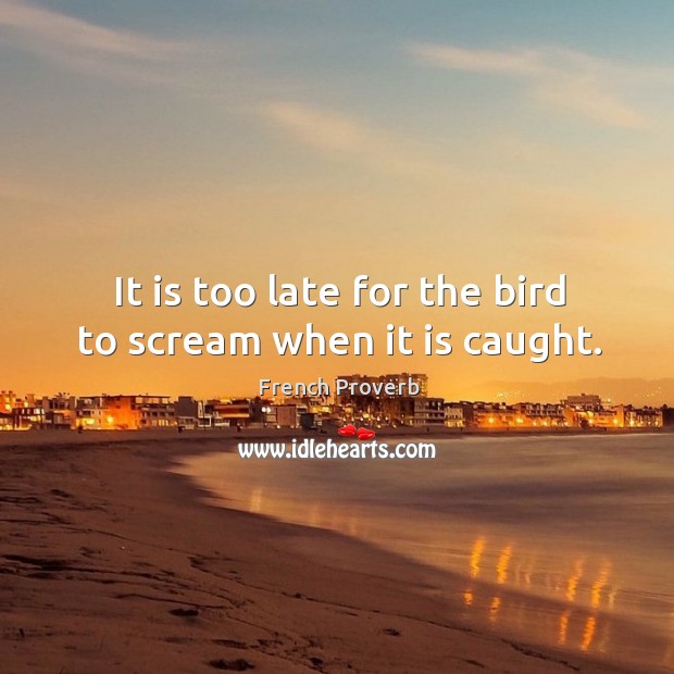 It is too late for the bird to scream when it is caught. French Proverbs Image