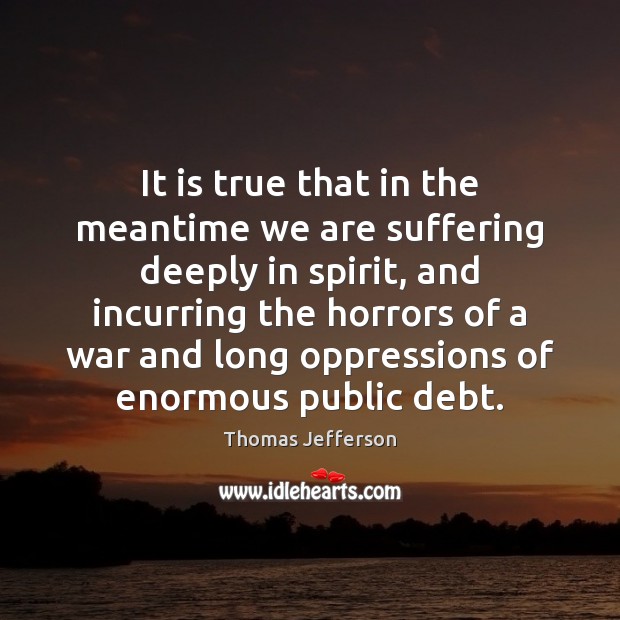 It is true that in the meantime we are suffering deeply in Thomas Jefferson Picture Quote