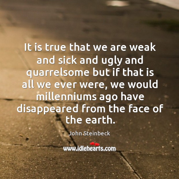 It is true that we are weak and sick and ugly and quarrelsome John Steinbeck Picture Quote