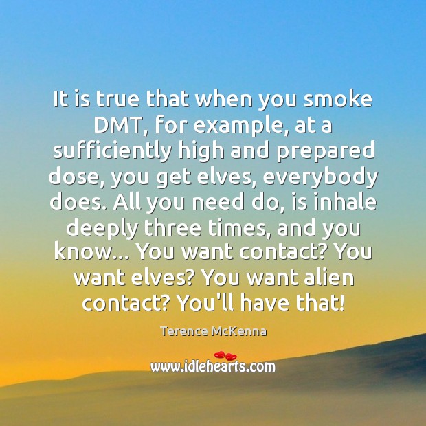 It is true that when you smoke DMT, for example, at a Terence McKenna Picture Quote