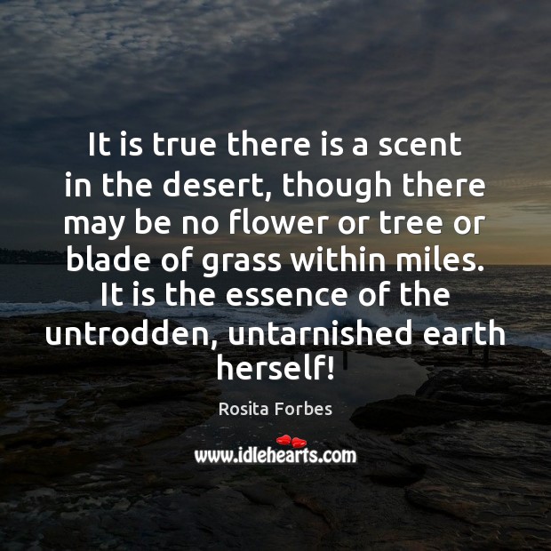 It is true there is a scent in the desert, though there Image