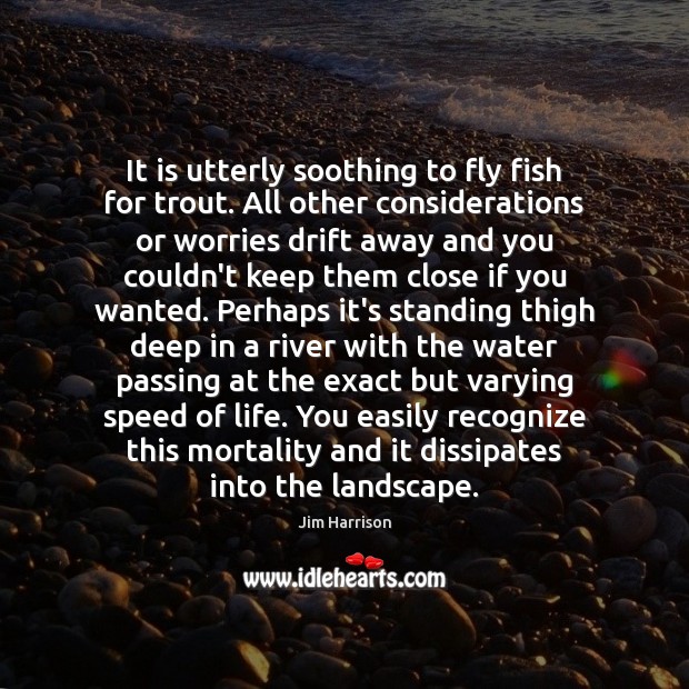 It is utterly soothing to fly fish for trout. All other considerations Jim Harrison Picture Quote
