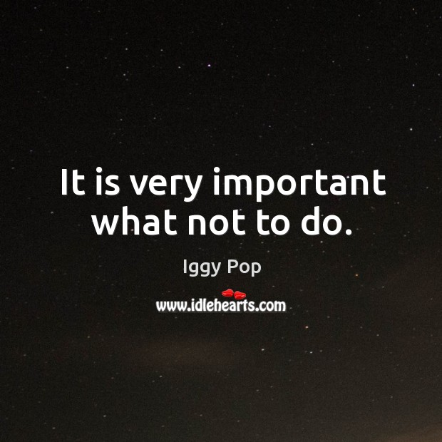 It is very important what not to do. Iggy Pop Picture Quote