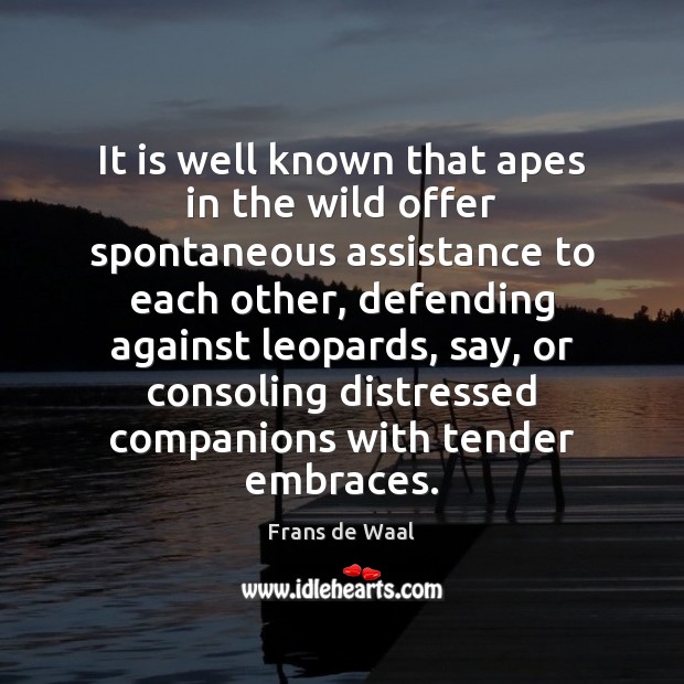 It is well known that apes in the wild offer spontaneous assistance Frans de Waal Picture Quote