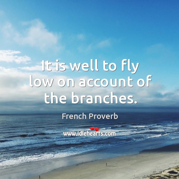 It is well to fly low on account of the branches. French Proverbs Image