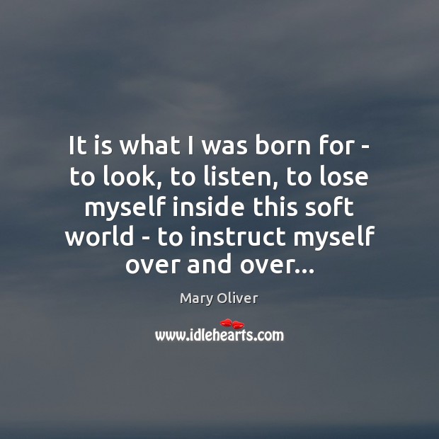 It is what I was born for – to look, to listen, Mary Oliver Picture Quote