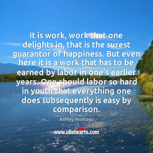 It is work, work that one delights in, that is the surest Comparison Quotes Image