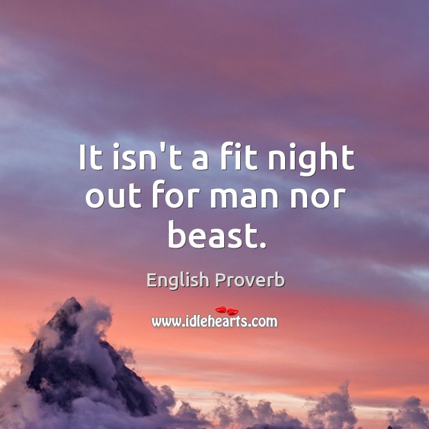 It isn’t a fit night out for man nor beast. Image