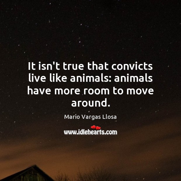 It isn’t true that convicts live like animals: animals have more room to move around. Mario Vargas Llosa Picture Quote