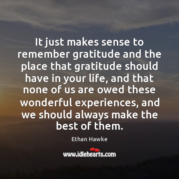 It just makes sense to remember gratitude and the place that gratitude Ethan Hawke Picture Quote