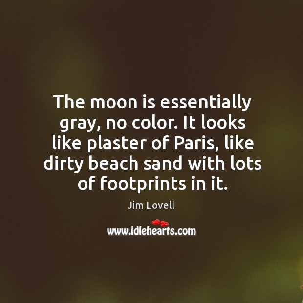 It looks like plaster of paris, like dirty beach sand with lots of footprints in it. Jim Lovell Picture Quote