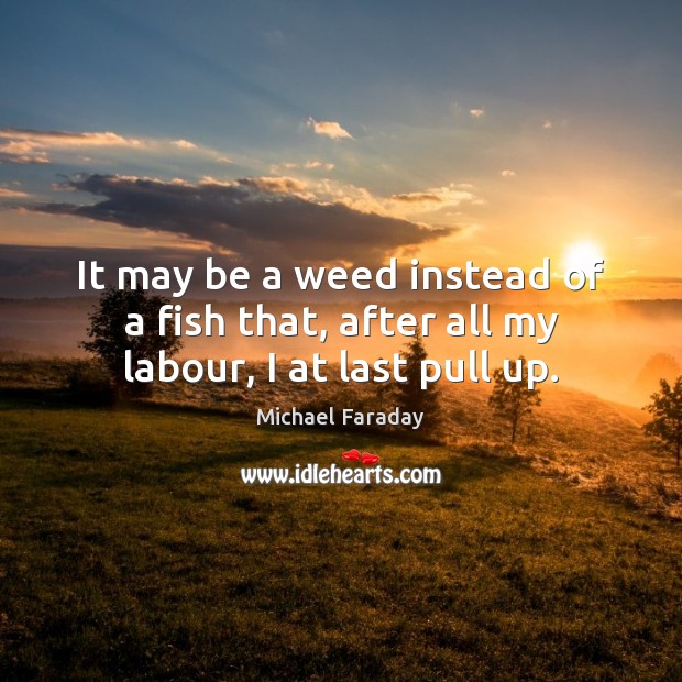 It may be a weed instead of a fish that, after all my labour, I at last pull up. Michael Faraday Picture Quote