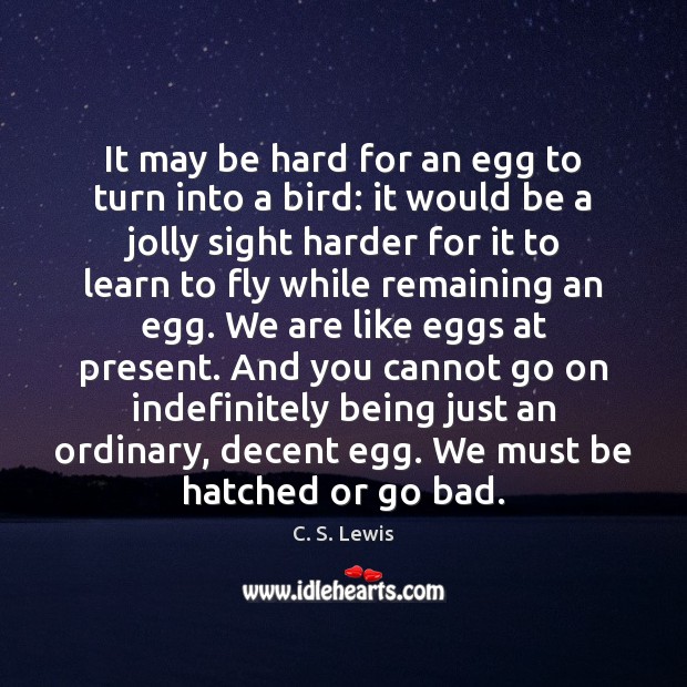 It may be hard for an egg to turn into a bird: Image