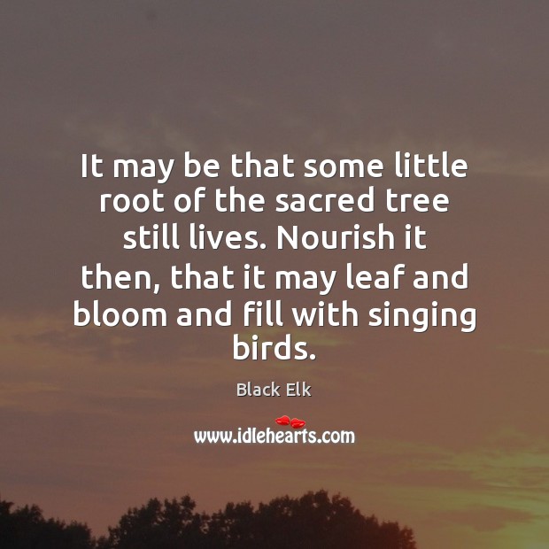 It may be that some little root of the sacred tree still Black Elk Picture Quote