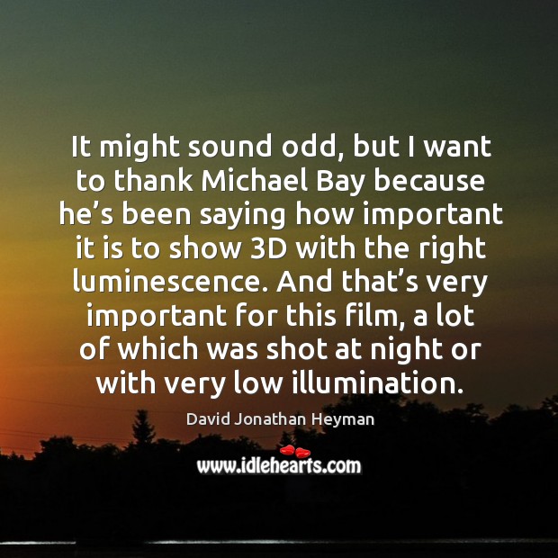 It might sound odd, but I want to thank michael bay because he’s been saying how important David Jonathan Heyman Picture Quote