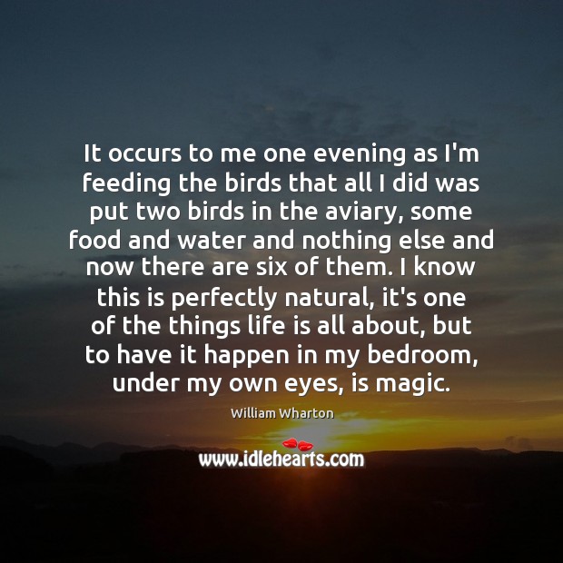 It occurs to me one evening as I’m feeding the birds that William Wharton Picture Quote