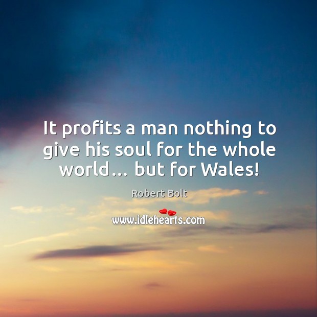 It profits a man nothing to give his soul for the whole world… but for wales! Robert Bolt Picture Quote